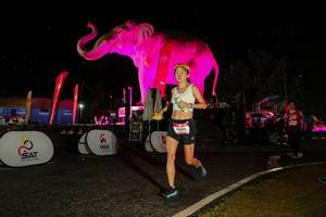 BIB: 
                            <button type="button" onclick="openModal(26534866)" class="btn btn-primary btn-sm float-right btn-popup" data-toggle="modal" data-target=".modal-high-quality">
                        <i class="fas fa-shopping-cart"></i> Add to Cart
                    </button>
                                            <button type="button" onclick="isThisMe(26534866, true)" class="btn btn-success btn-sm float-right btn-popup btn-isme hidden" data-toggle="tooltip" data-placement="bottom" title="นี่คือรูปของคุณใช่ไหม คลิกที่นี่เพื่อเอาเข้าอัลบั้ม">
                        <i class="fas fa-plus"></i> Add to album
                    </button>
                    <button type="button" onclick="isThisMe(26534866, false)" class="btn btn-warning btn-sm float-right btn-popup btn-isnotme hidden">
                        <i class="fas fa-ban"></i> Remove from album
                    </button>